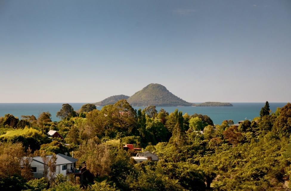Crestwood Bed And Breakfast Whakatane Kültér fotó