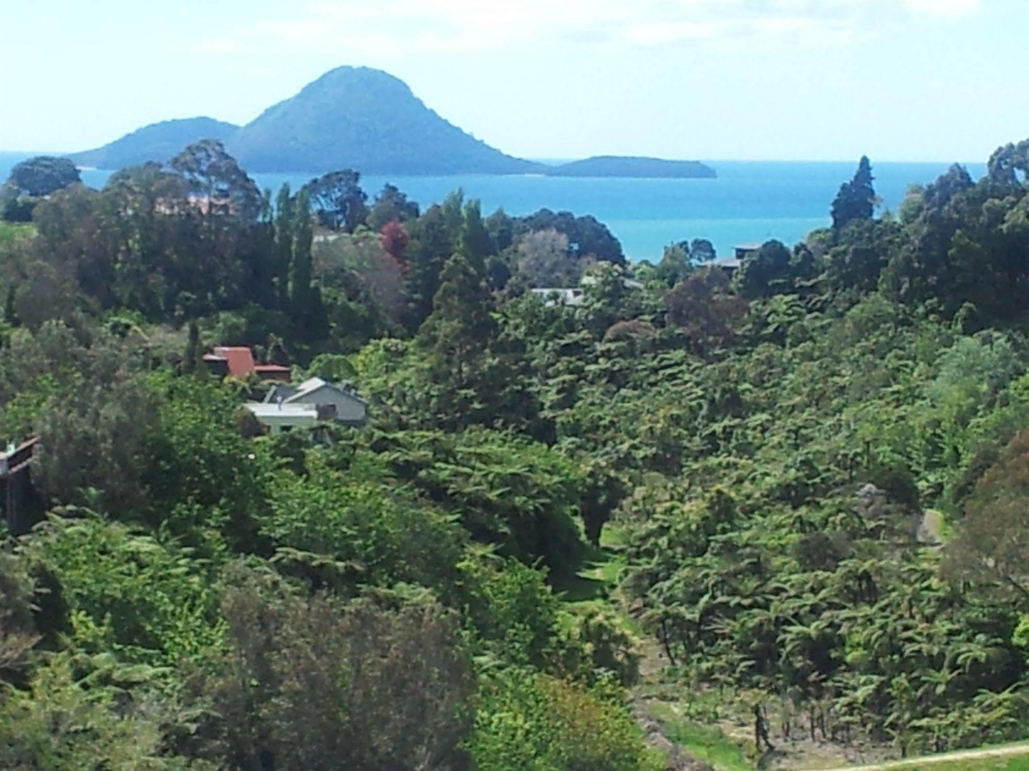 Crestwood Bed And Breakfast Whakatane Kültér fotó